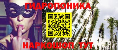 дурь Заводоуковск