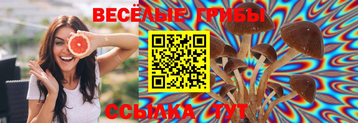 Псилоцибиновые грибы Magic Shrooms Лабытнанги